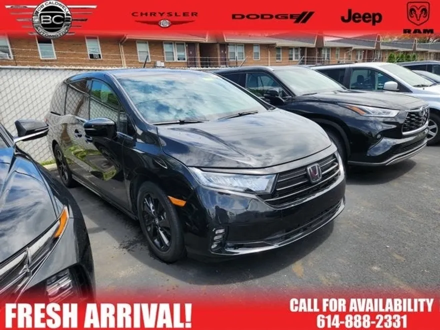 2023 Honda Odyssey Sport photo 1