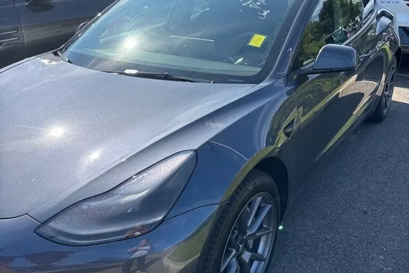 2023 Tesla Model 3 photo 1