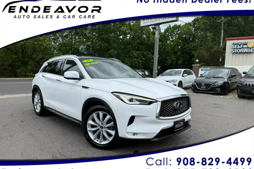 2019 Infiniti QX50 Luxe photo 1