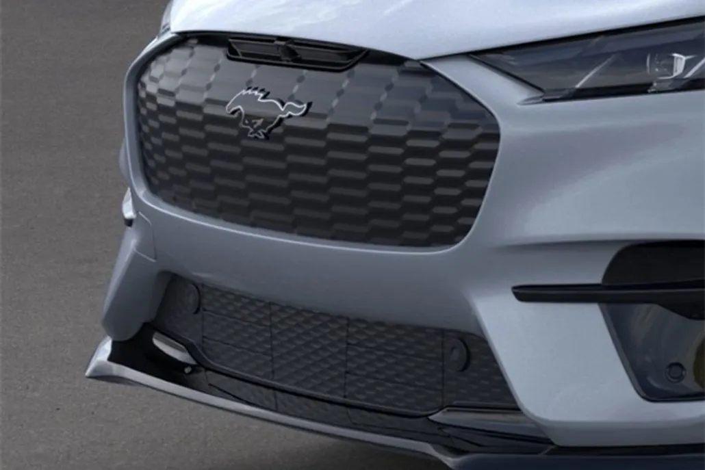 2025 Ford Mustang Mach-E GT photo 1