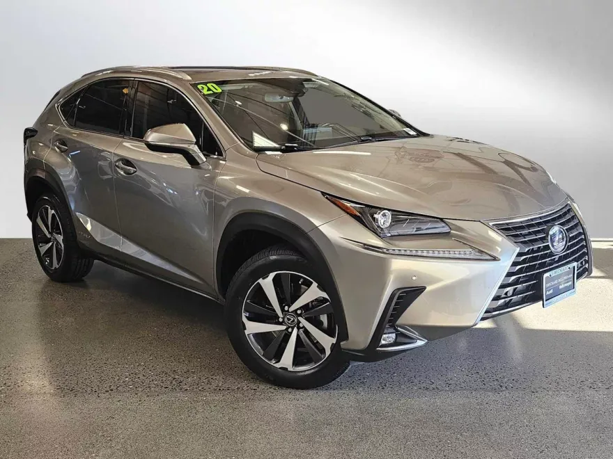 2020 Lexus NX 300h AWD photo 1