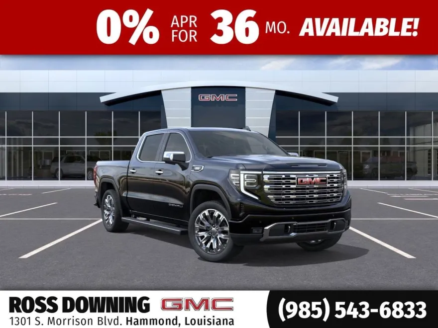 2025 Gmc Sierra 1500 Denali photo 1