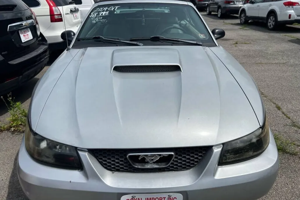 2004 Ford Mustang GT Deluxe photo 1