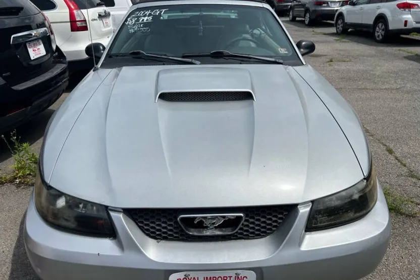 2004 Ford Mustang GT Deluxe photo 1