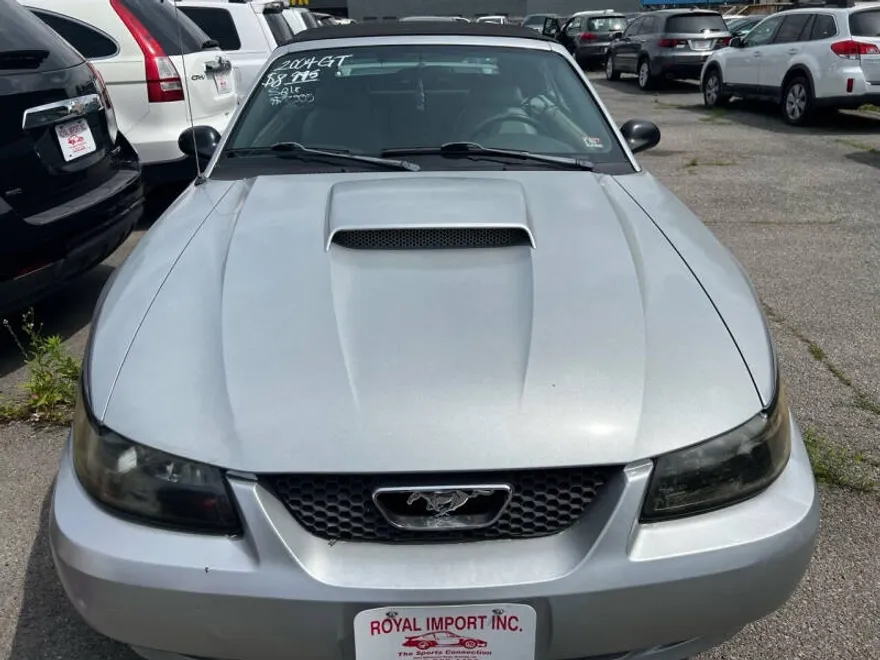 2004 Ford Mustang GT Deluxe photo 1