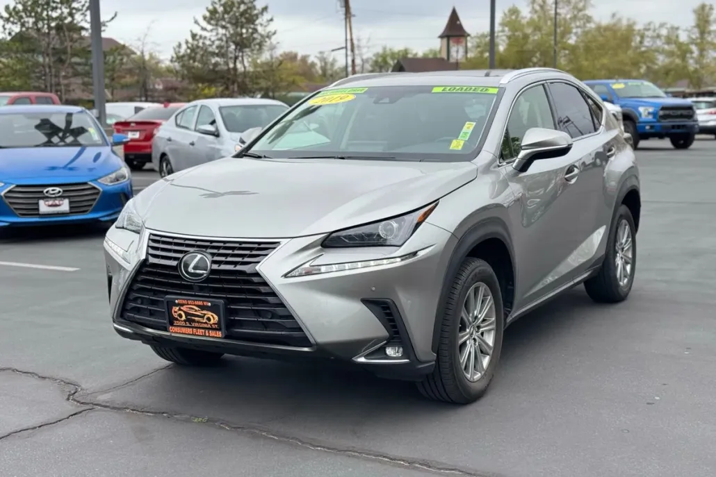 2019 Lexus NX 300 Luxury photo 1