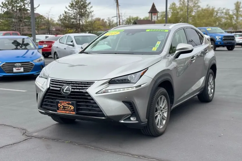 2019 Lexus NX 300 Luxury photo 1
