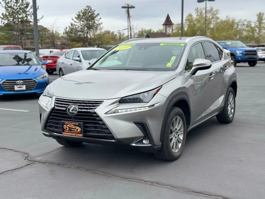 2019 Lexus NX 300 Luxury photo 1
