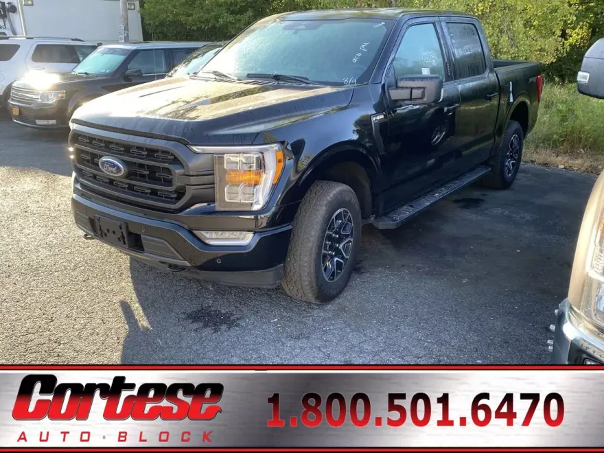 2023 Ford F-150 XLT photo 1