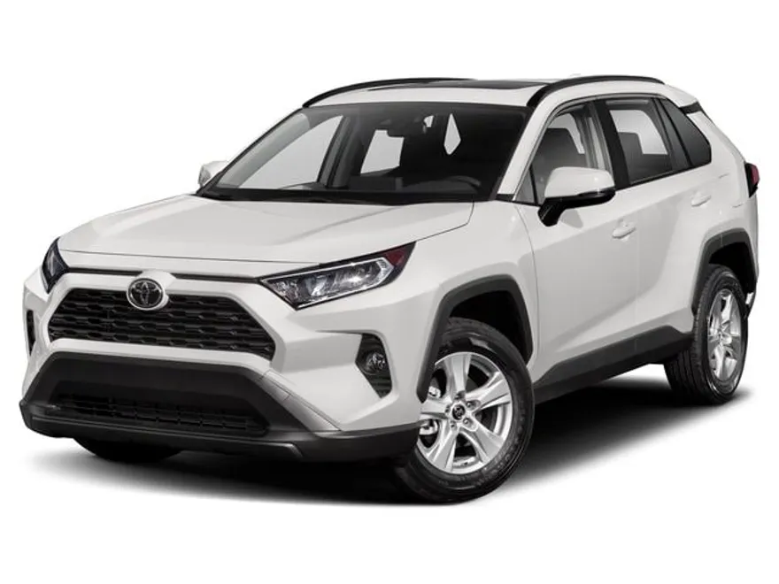 2019 Toyota RAV4 LE photo 1