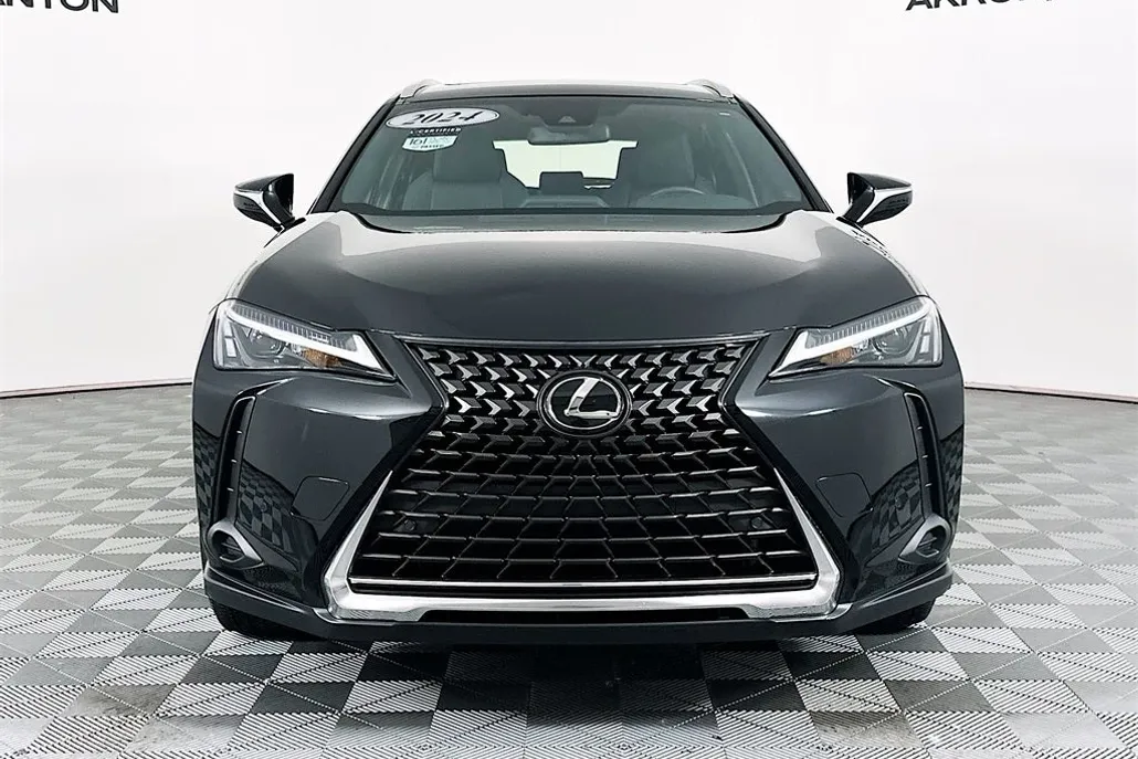 2024 Lexus UX 250h photo 1