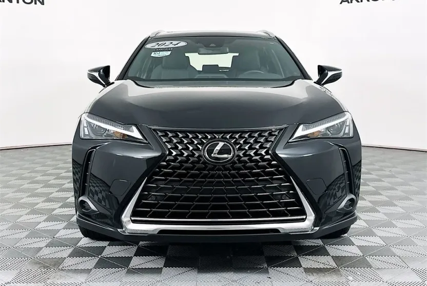 2024 Lexus UX 250h photo 1
