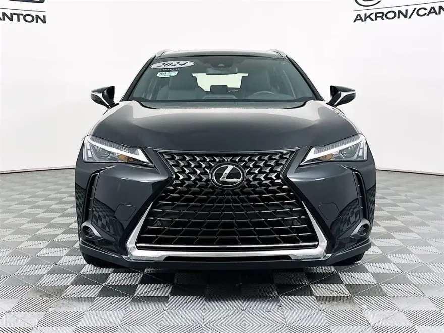 2024 Lexus UX 250h photo 1