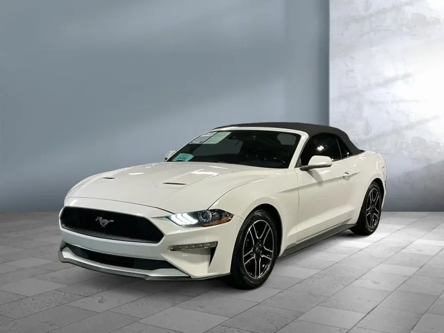 2023 Ford Mustang EcoBoost photo 1
