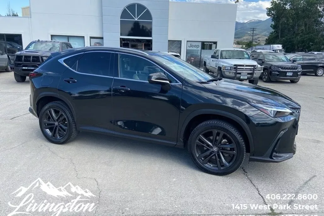 2022 Lexus NX 450h+ Luxury photo 1