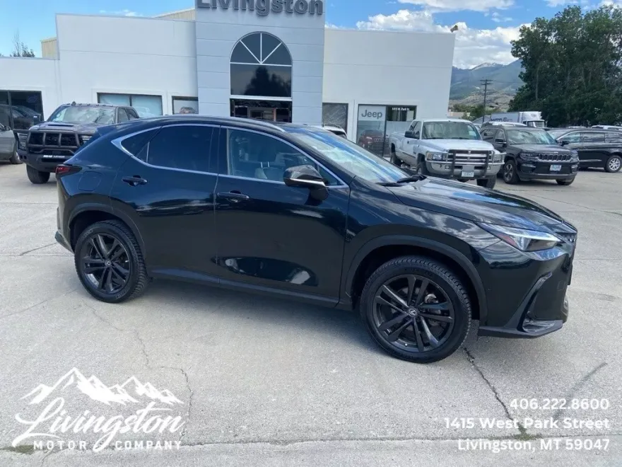 2022 Lexus NX 450h+ Luxury photo 1