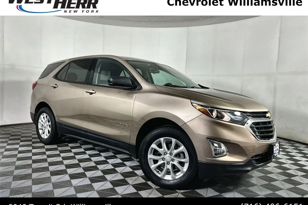 2019 Chevrolet Equinox LS photo 1