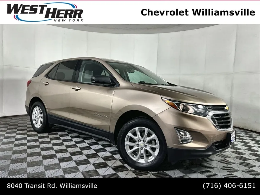 2019 Chevrolet Equinox LS photo 1