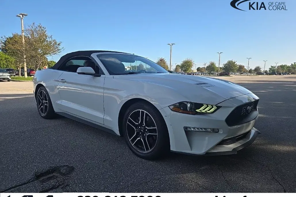 2019 Ford Mustang EcoBoost photo 1