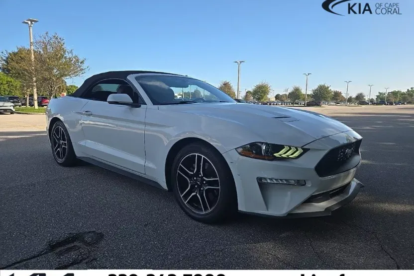 2019 Ford Mustang EcoBoost photo 1