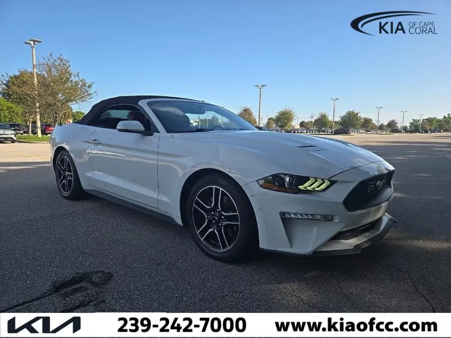 2019 Ford Mustang EcoBoost photo 1