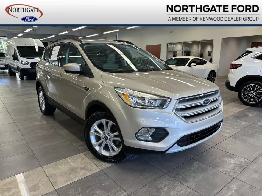 2018 Ford Escape SE photo 1