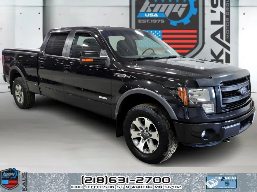 2014 Ford F-150 FX4 photo 1