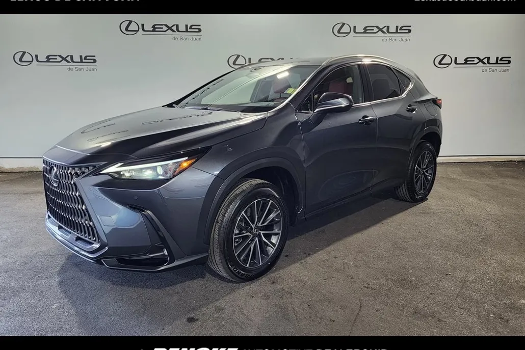 2025 Lexus NX 250 photo 1