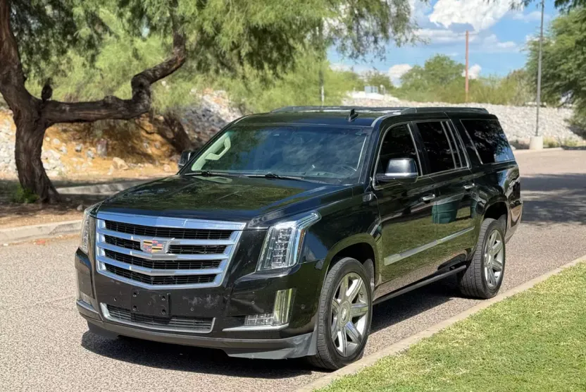 2019 Cadillac Escalade ESV Luxury photo 1