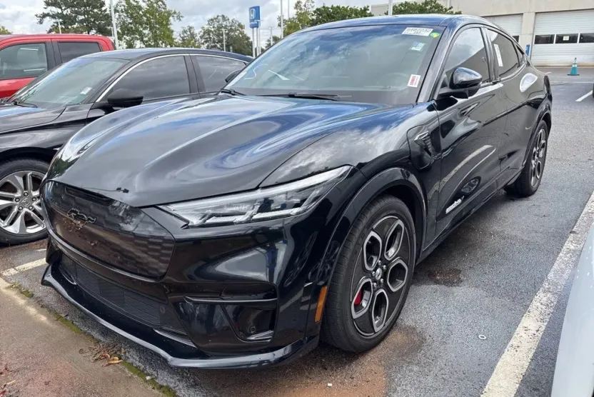 2021 Ford Mustang Mach-E GT photo 1