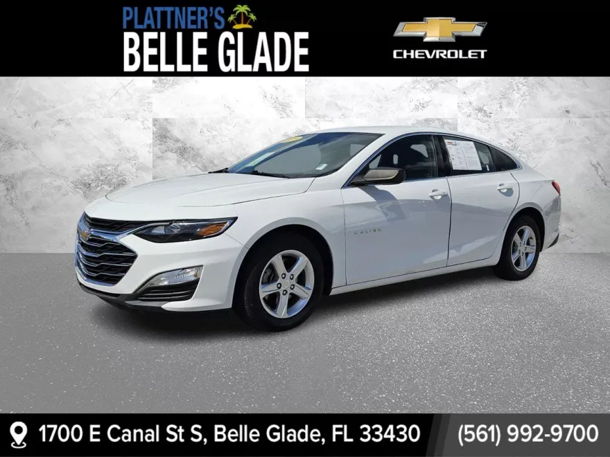 2019 Chevrolet Malibu LS photo 1