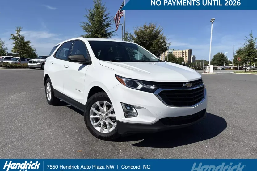 2019 Chevrolet Equinox LS photo 1