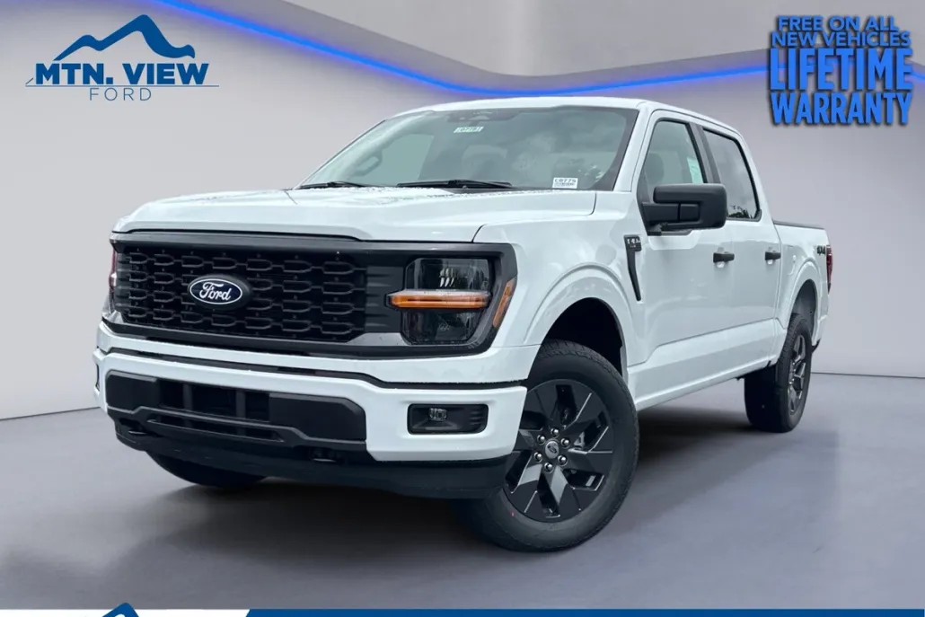 2025 Ford F-150 STX photo 1