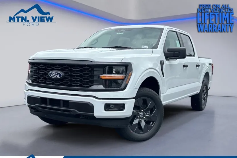 2025 Ford F-150 STX photo 1