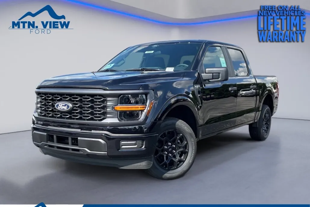 2025 Ford F-150 STX photo 1