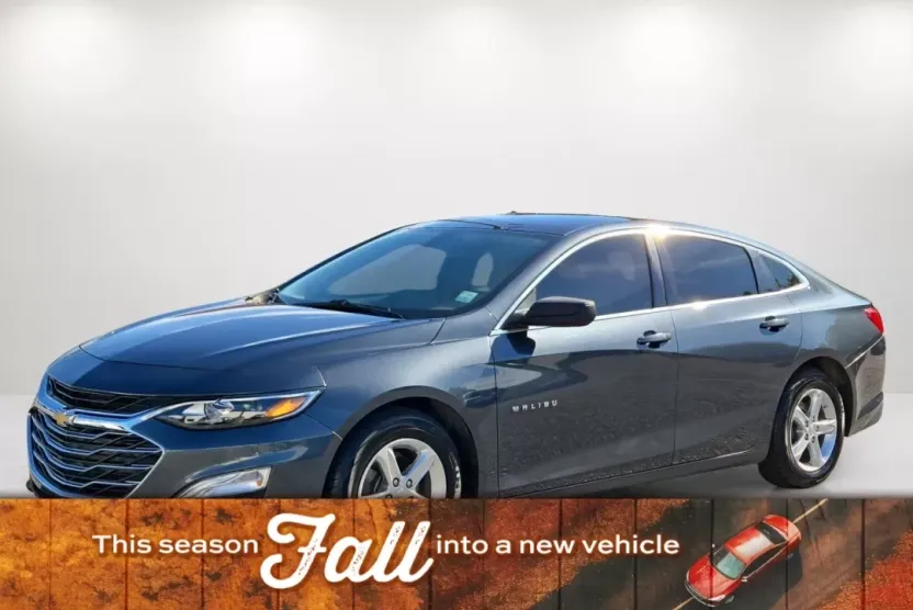 2019 Chevrolet Malibu LS photo 1