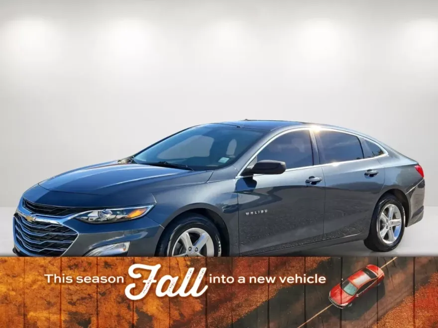 2019 Chevrolet Malibu LS photo 1