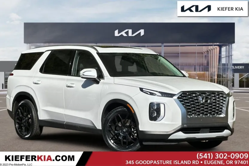 2021 Hyundai Palisade SEL photo 1