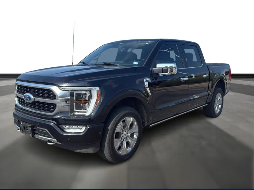 2021 Ford F-150 Platinum photo 1