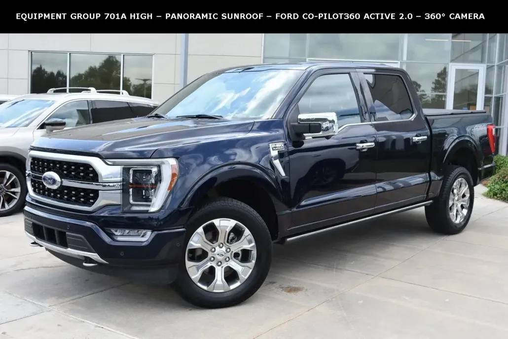 2021 Ford F-150 Platinum photo 1