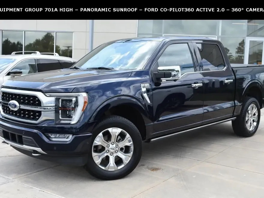 2021 Ford F-150 Platinum photo 1