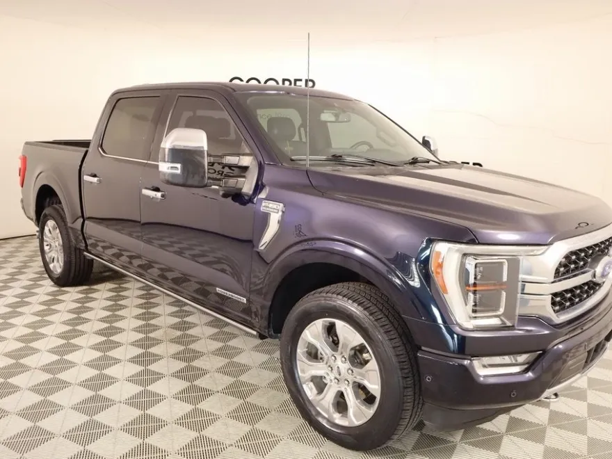 2021 Ford F-150 Platinum photo 1