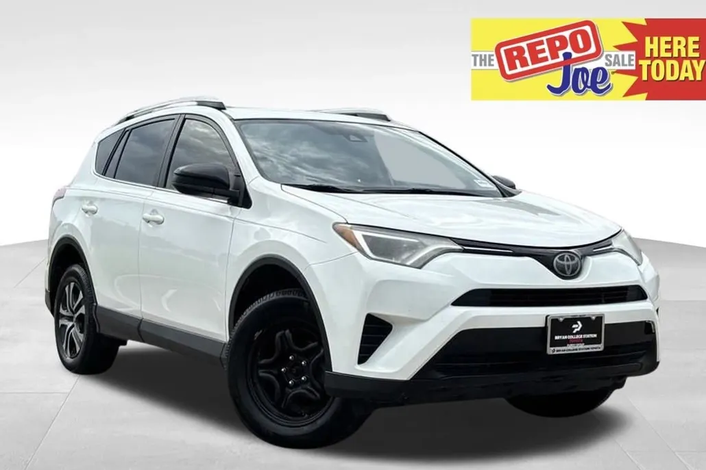 2018 Toyota RAV4 LE photo 1