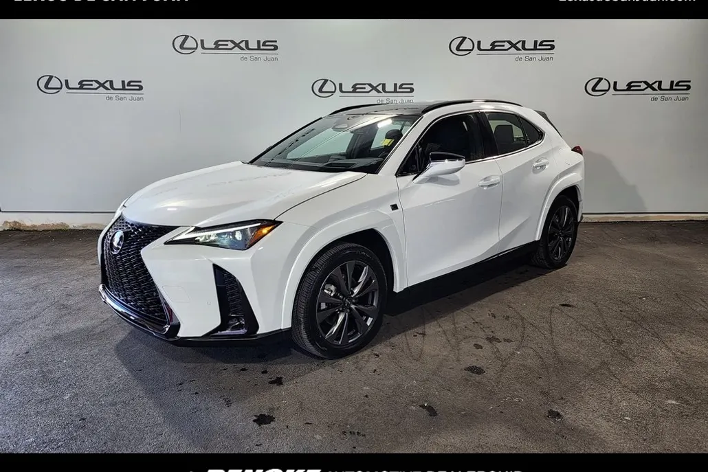 2025 Lexus UX photo 1