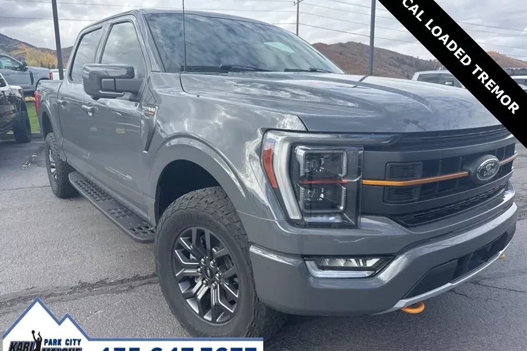 2021 Ford F-150 Tremor photo 1