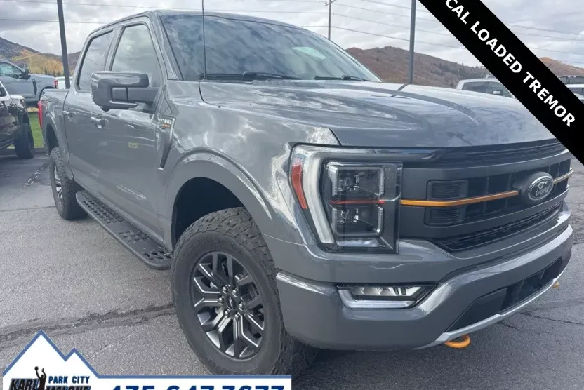 2021 Ford F-150 Tremor photo 1