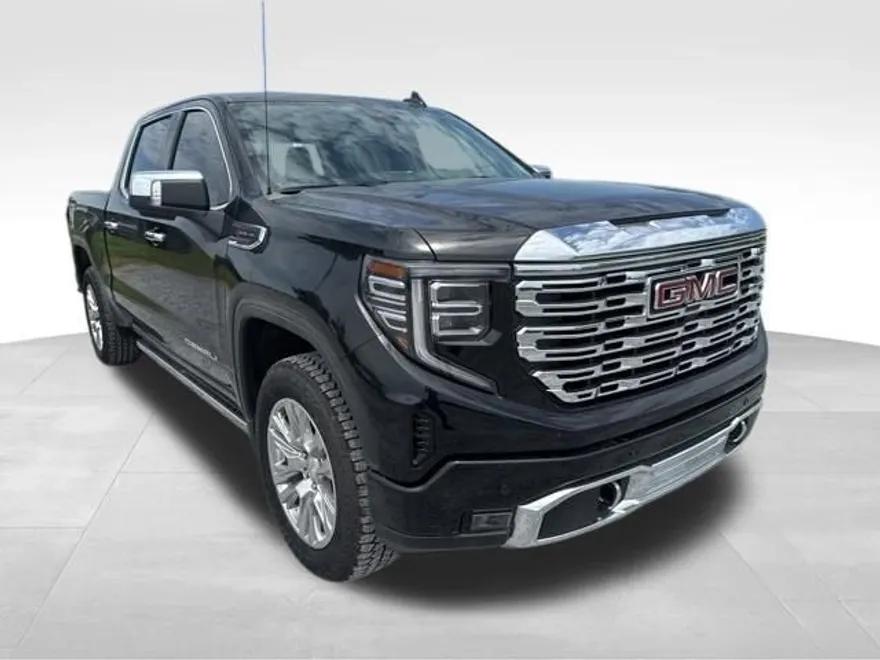 2025 Gmc Sierra 1500 Denali photo 1