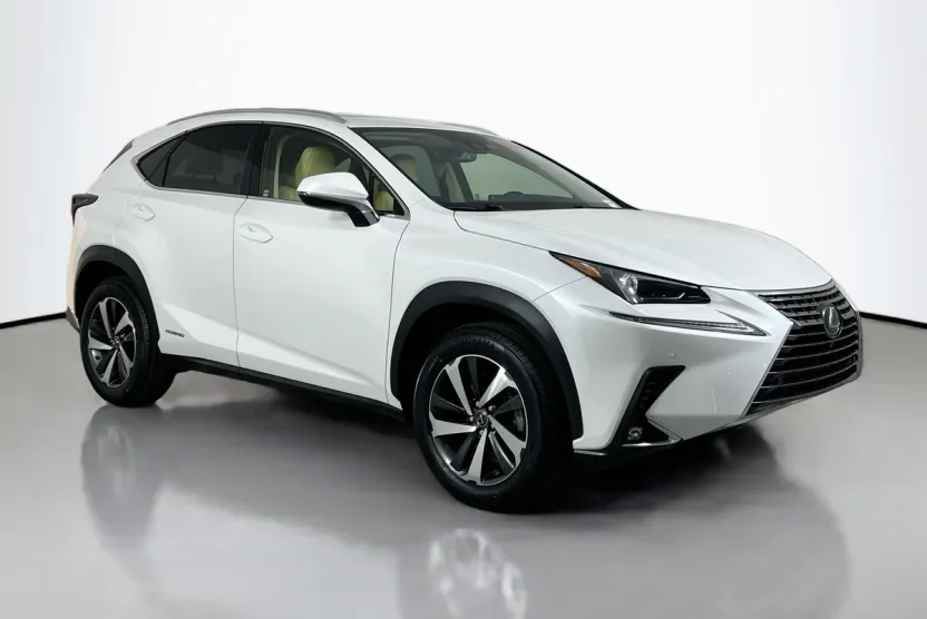 2020 Lexus NX 300h photo 1