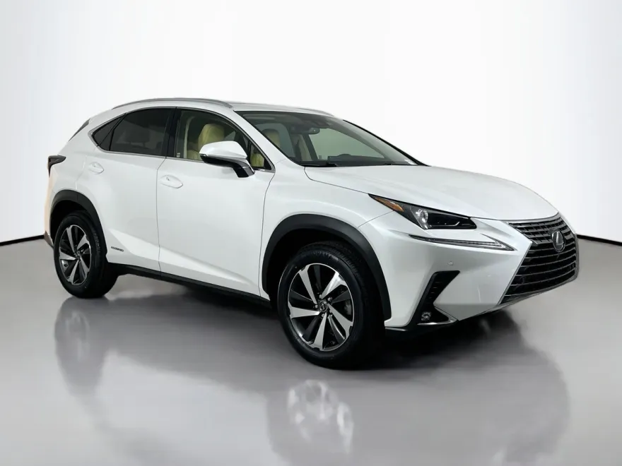 2020 Lexus NX 300h photo 1