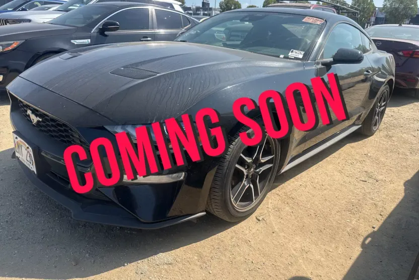 2023 Ford Mustang EcoBoost Premium photo 1